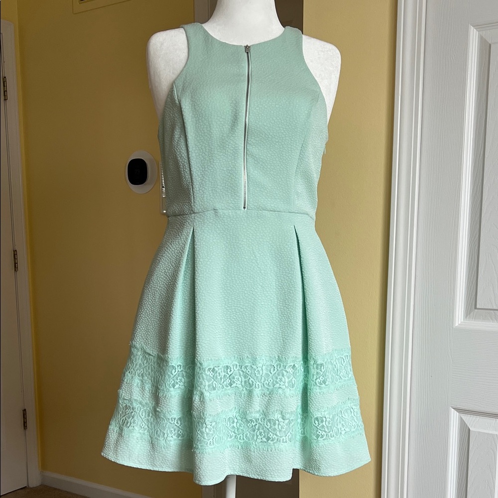 Express Mint Fit and Flare Dress (12)